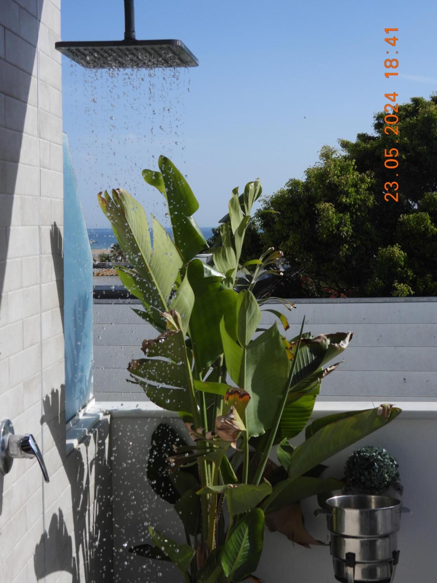 Apartamento Aba Penthouse, Piscina&Azotea Privada Conil De La Frontera Exterior foto